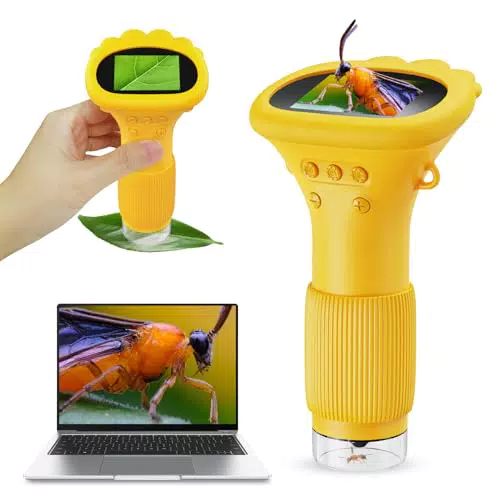 Ashfly Handy-Mikroskop für Kinder, tragbares 200X USB-Mikroskop mit LED-Lichtern