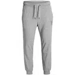 JACK & JONES Herren Jjigordon Jjshark Sweat Pants Viy Noos Sporthose