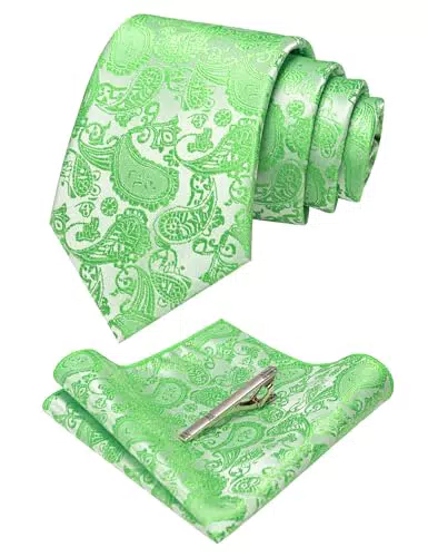 JEMYGINS Paisley Seide Herren Krawatten und Einstecktuch Set mit Krawattenklammer