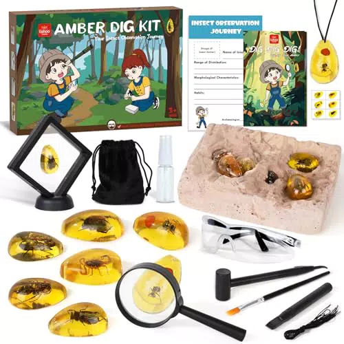 Lehoo Castle Bernstein Ausgrabungsset für Kinder ab 6 Jahren – Geschenkidee für Jungen