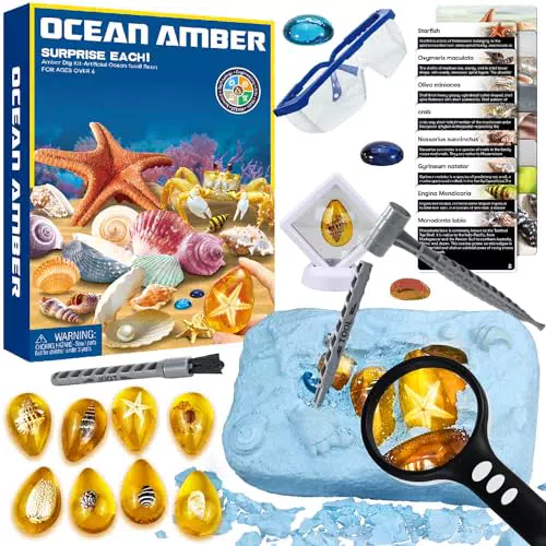 Meeresleben Bernstein Ausgrabungsset für Kinder – Fossilien und Edelsteine entdecken