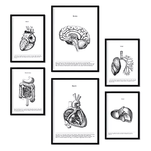 Nacnic Poster der inneren Organe – Ästhetische Collage für Innendekoration