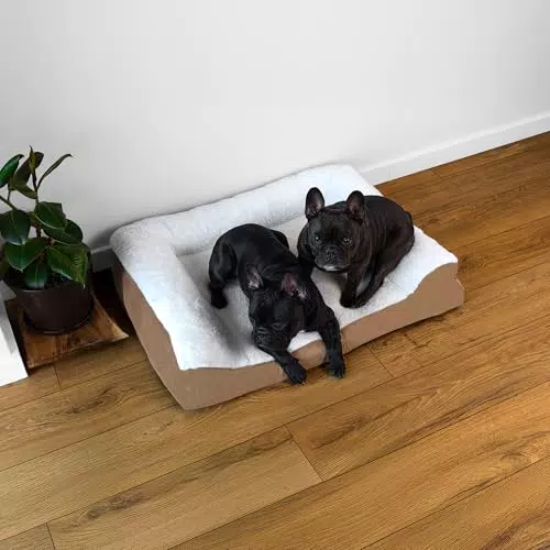 Pawerz Orthopädisches Hundebett für kleine bis mittelgroße Hunde, waschbar und rutschfest