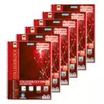 Stylex Collegeblock kariert DIN A4 mit Spiralbindung, 80 Blatt