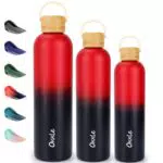 Edelstahl Trinkflasche mit Griff, 750ml, Auslaufsicher, BPA-frei, Vakuumisoliert