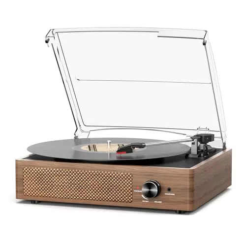 Vinyl Plattenspieler Bluetooth mit eingebauten Stereo Lautsprechern und RCA Ausgang
