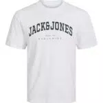 JACK&JONES JUNIOR JJECALEB Varsity Tee SS O-Neck SN MNI