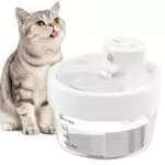 Jewyow 1L Katzenbrunnen Kabellos, Leiser Trinkbrunnen für Katze