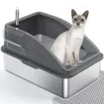 Katzenklo Edelstahl XXL, Katzentoilette Edelstahl 28L Katzenklo Groß mit Katzenstreuschaufel und Doppelschicht Matte