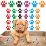 Lawen Creative 1200 Stück 6 Farben Hund Pfote drucken Aufkleber bunte Welpe Pfote Label Aufkleber Lehrer Belohnung Aufkleber 2