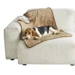 Lesure wasserdichte Hundedecke kleine Hunde - 80x60cm Outdoor Hundedecke waschbar