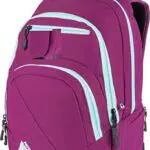 Nitro Snowboards 2018 Rucksack, 49 cm, 29 liters, Pink