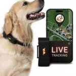 PAJ GPS Tracker für Hunde - 4G - Weglaufalarme + weltweite Live-Ortung - bis zu 10 Tage Akkusparmodus - Hunderückruf - mit Leucht-LEDs - Wasserdicht - passt an jedes Halsband - schwarz