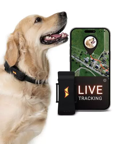 PAJ GPS Tracker für Hunde - 4G - Weglaufalarme + weltweite Live-Ortung - bis zu 10 Tage Akkusparmodus - Hunderückruf - mit Leucht-LEDs - Wasserdicht - passt an jedes Halsband - schwarz