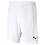 PUMA Teamrise Shorts für Herren