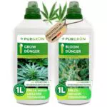 Purgrün Cannabis-Dünger-Set 2 x 1 Liter Schnell wirksame mineralische Rezeptur Vollspektrum-Nährstoffe für Wachstum & Blüte Flüssigdünger Indoor & Outdoor Für Autoflower
