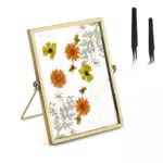 Rayong Doppelseitiger Glas Bilderrahmen Gold Vintage Glasbilderrahmen Stehend Fotorahmen Bilderrahmen Metall für Pflanzenprobe Artwork Bild Display Halter