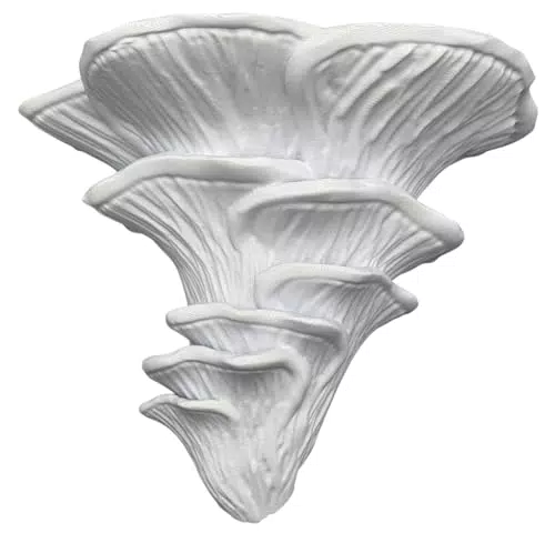 Wolfprint Pilz Wandregal Flamingo Seitling, Rosen Blätterpilz Fungus Regal Flamingoseitling Deko Pilzregal Exotisch Design Wohnaccessoire 3D-Druck Wandpilz Pilzwandregal