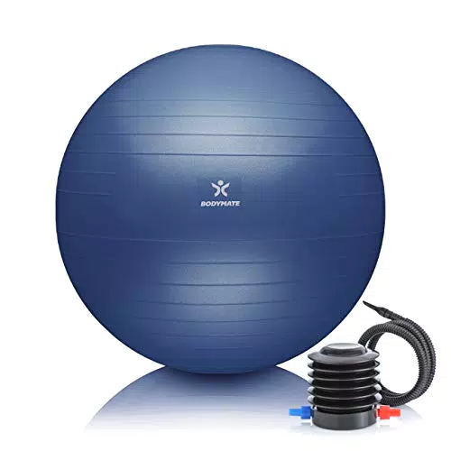 BODYMATE Gymnastikball mit GRATIS E-Book und Luft-Pumpe für Fitness und Yoga