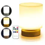 BORDEAG Tageslichtlampe mit Fernsteuerung und Timer für Lichttherapie Zuhause