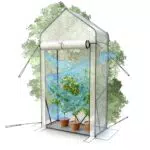 Heimfleiss Tomatengewächshaus für Balkon & Garten