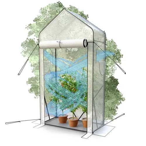 Heimfleiss Tomatengewächshaus für Balkon & Garten