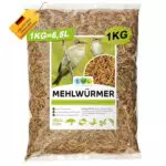 Mehlwürmer getrocknet - Insektensnack für Vögel, Fische, Reptilien und Nager