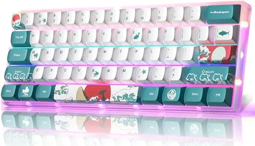 MIHIYIRY Mechanische Gaming-Tastatur 60% RGB Backlit, USB kabelgebunden für PC, Mac