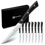 PAUDIN Steakmesser Set - Hochwertige Edelstahlmesser mit ergonomischem Griff