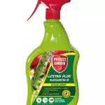 Protect Garden Lizetan Plus Spezial-Spray gegen Blattläuse auf Pflanzen