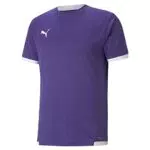PUMA Teamliga Jersey Shirt für Herren