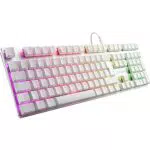 Sharkoon PureWriter RGB Mechanische Low Profile-Tastatur mit blauen Schaltern