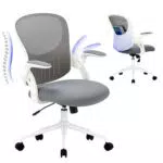 COLAMY Ergonomischer Bürostuhl mit höhenverstellbarer Lendenwirbelstütze und Armlehnen