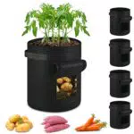 ECCOGREAT Pflanzsack aus Vlies für Kartoffeln, Tomaten, Erdbeeren und Blumen