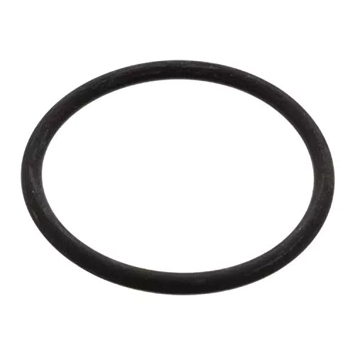Febi Bilstein O-Ring für Thermostat 17966 – Hochwertige Ersatzteile kaufen