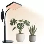 FRGROW Pflanzenlampe LED Vollspektrum für Zimmerpflanzen mit Daisy Chain Funktion