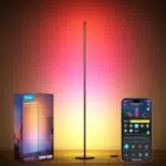 Govee RGBIC LED Stehlampe Wohnzimmer, WiFi Stehlampe Dimmbar