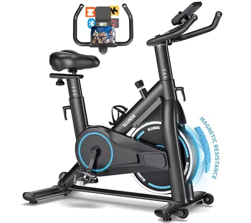 SLUNSE Heimtrainer Fahrrad mit APP und LCD-Monitor für effektives Kardio-Training