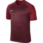 Nike Kinder Trophy III Jersey Kurzarmtrikot