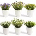 YVONNEYI Kunstpflanzen für Deko in Büro, Wohnzimmer und Küche - Mini Blumen im Topf