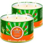 Aottom Citronella Kerze für Garten und Outdoor-Aktivitäten mit 3 Dochten