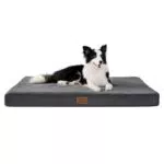 Bedsure orthopädisches Hundebett mittelgroße Hunde - 91x69x7.6cm Hundekissen flauschig Hundematte waschbar Hundematratze in grau