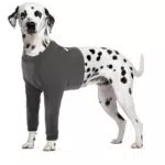 CITÉTOILE Hunde-Body für Wundschutz nach OP, Anti-Wundlecken Schutzanzug