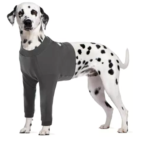 CITÉTOILE Hunde-Body für Wundschutz nach OP, Anti-Wundlecken Schutzanzug
