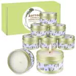 Citronella Kerzen von [Markenname] – Duftkerze aus Sojawachs für Garten und Camping