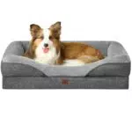 EHEYCIGA Orthopädisches Hundebett Grosse Hunde, Memory Foam Waschbar und Wasserdicht Hundekorb mit 4 Rändern