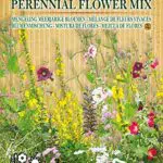 Germisem Perennial Flower Mix - Artenvielfalt für Ihren Garten