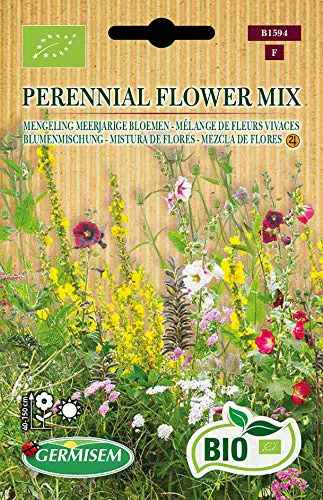 Germisem Perennial Flower Mix - Artenvielfalt für Ihren Garten