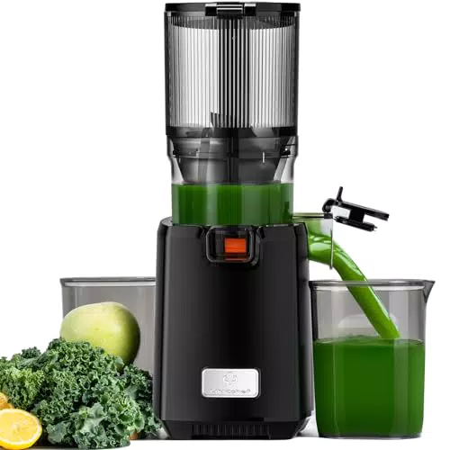 LINKChef Slow Juicer – Testsieger für Obst und Gemüse, einfach zu reinigen, 250W
