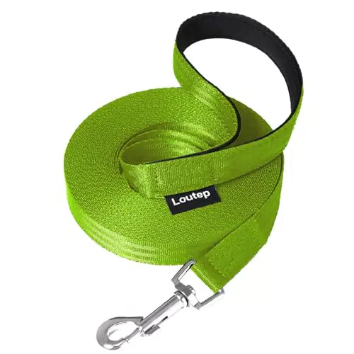 Loutep Trainingsleine für Hunde - strapazierfähiges Nylon mit gepolstertem Griff